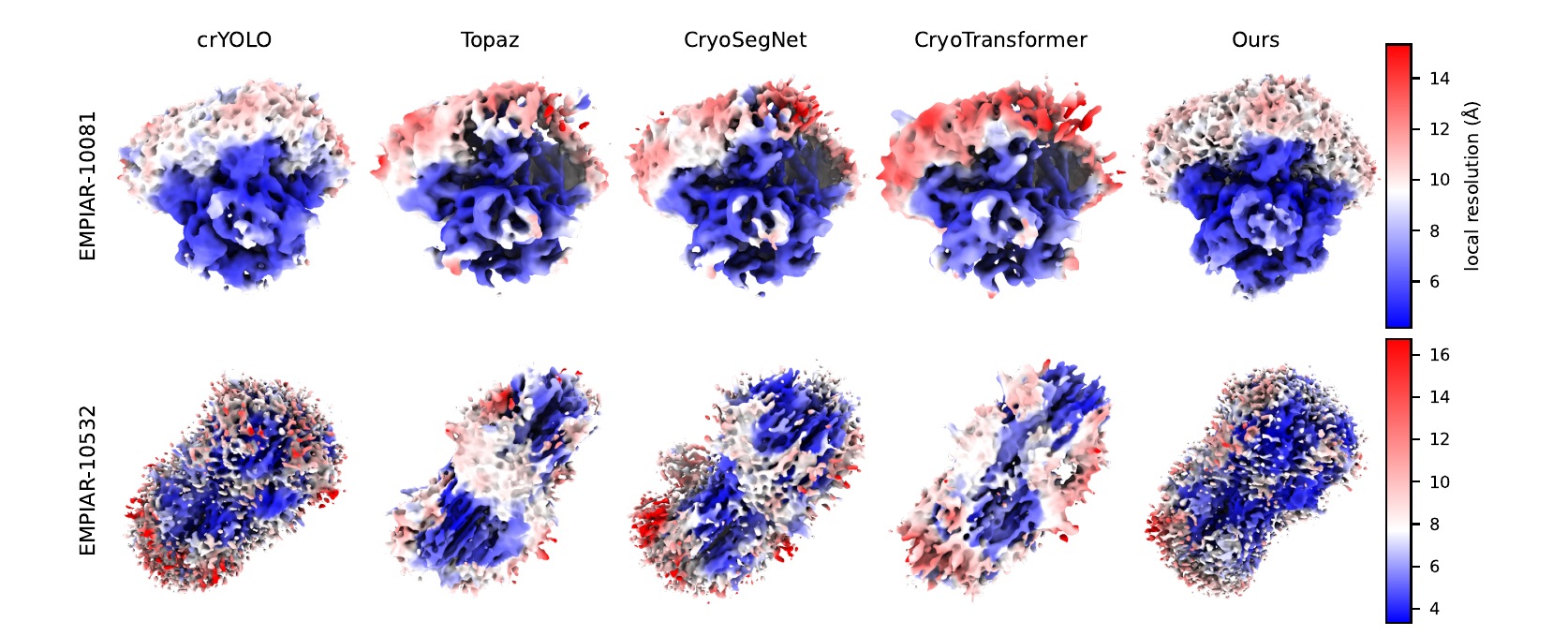 Local resolution maps of the reconstructions on EMPIAR-10081 and EMPIAR-10532